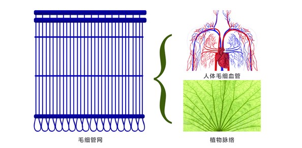 什么毛细管辐射系统？毛细管网五恒系统哪家好